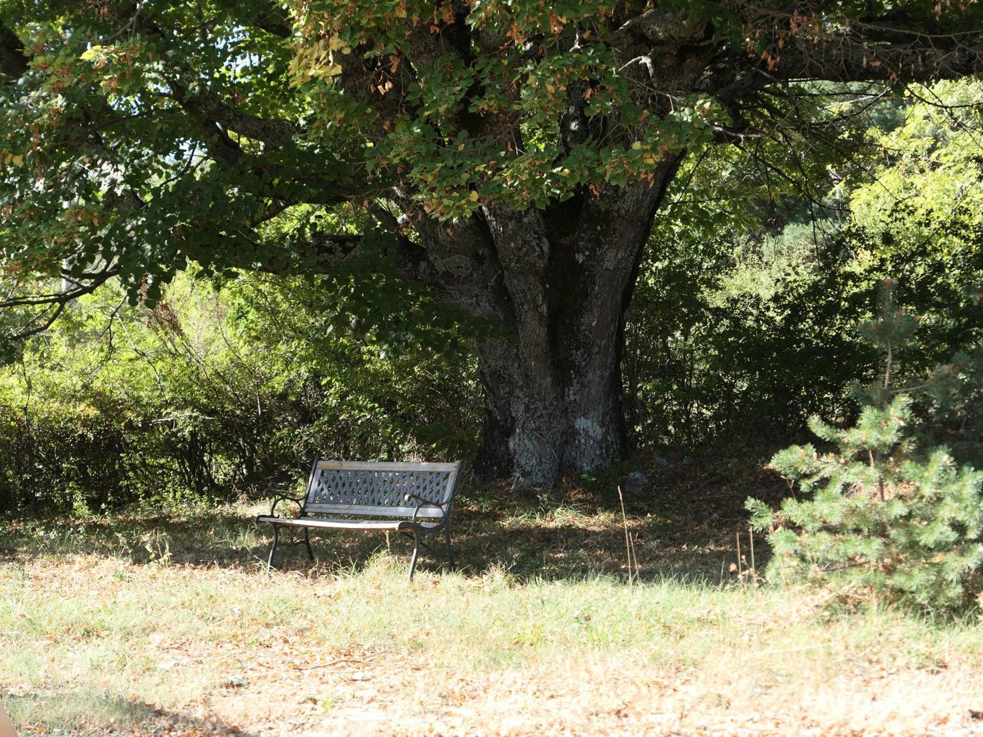 La Grisonne - Gite Nordine Revest-du-Bion Dış mekan fotoğraf